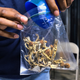 A vendor bagging psilocybin mushrooms
